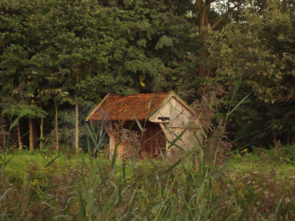 Bed And Breakfast De Boerderij Albergen Esterno foto